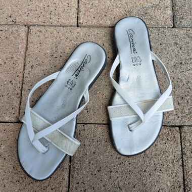 Flip Flops