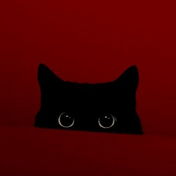 Rümi