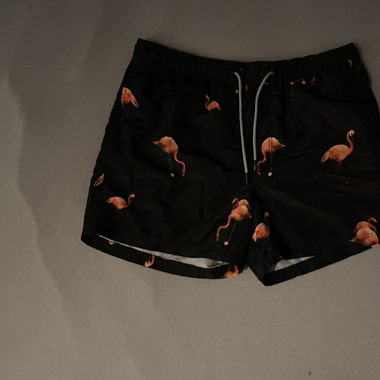 Flamingo Swimpants