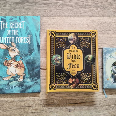 Lot livres jeunesse neufs 