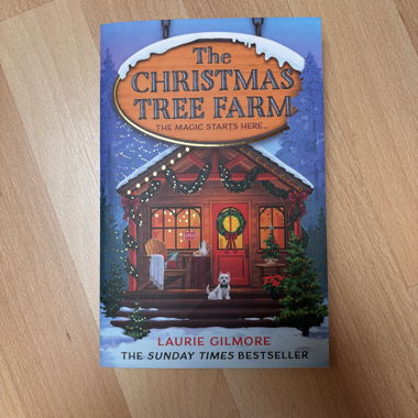 Christmas book in English