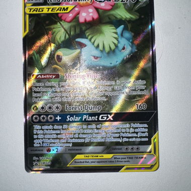Venusaur & Snivy TagTeam SM229
