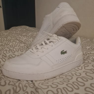 Lacost schuhe