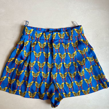 ZARA Shorts