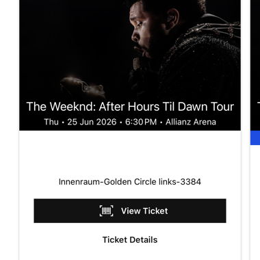 Concerto di The Weeknd