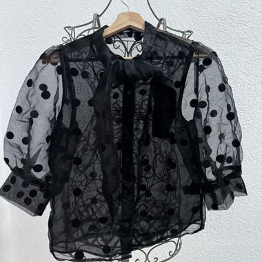 Durchsichtige schwarze Zara-Bluse