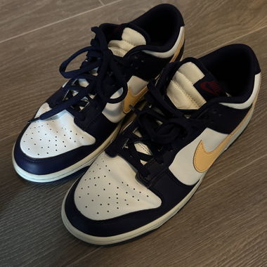 Nike Dunk Low Retro