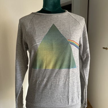Felpa Pink Floyd