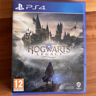 Gioco PS4 Hogwarts Legacy