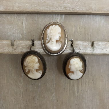 Camellia set