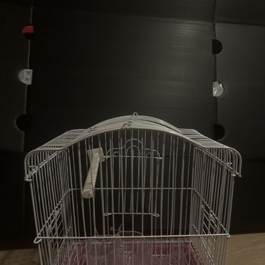 Birdcage
