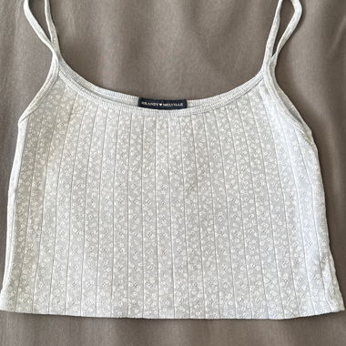 Brandy Melville Crop Top