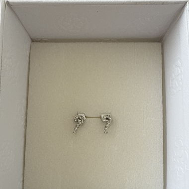 Guess Earrings