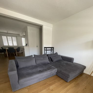 Ecksofa Darwin / Anthrazit