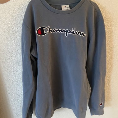 Champion Sweater