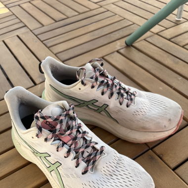 Asics GT 2000 12