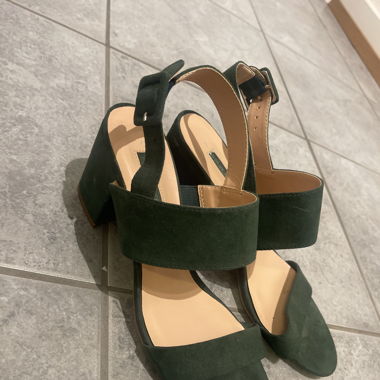 Dorothy Perkins in grün