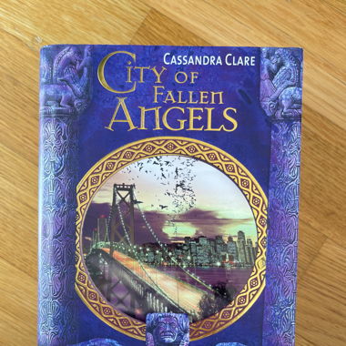Buch „City of fallen Angels“ deutsch