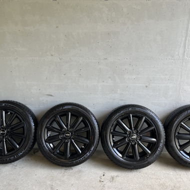 Winter-Radsatz MINI 175/60 R16