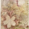 lili2ndhand