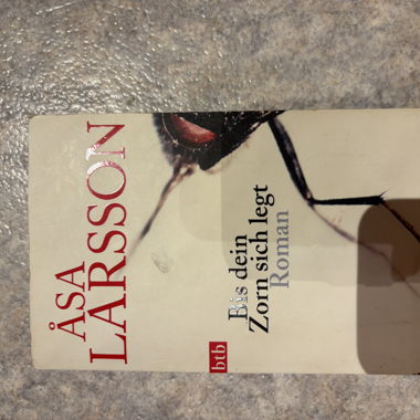 Buch: Åsa Larsson - Bis dein Zorn sich legt