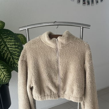 Teddy Jacke