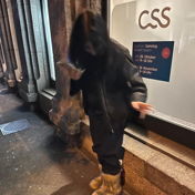 celiinxe