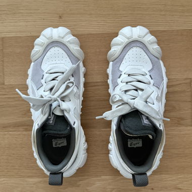 Onitsuka Tiger Dentigre LS