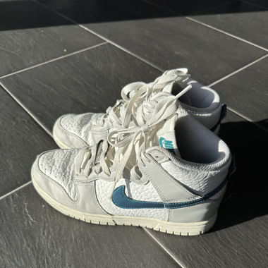 Nike dunk high
