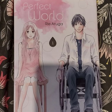 Perfect World Manga 1