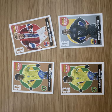 Panini Football Stickers