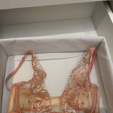 Agent provocateur BH