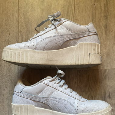 Puma bleue