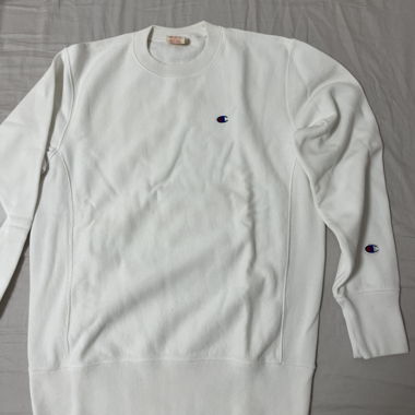 Champion Sweater