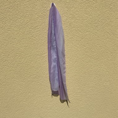 Purple Scarf