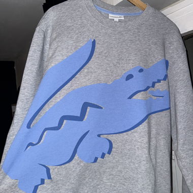 Lacoste grey sweater