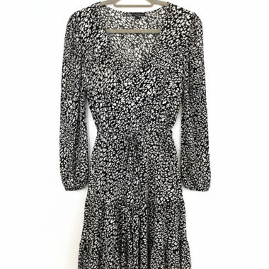 Zara dress
