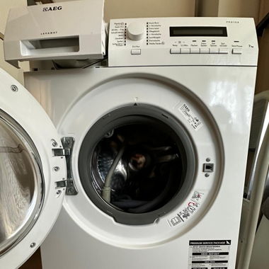 Waschmachine zu verkaufen