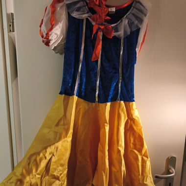 Snow White Costume