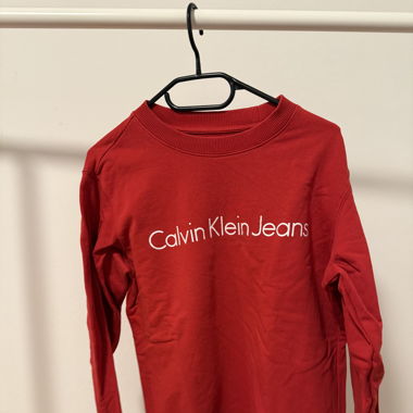 Sweatshirt / Pullover
