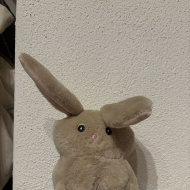 Children's Toy Rabbit