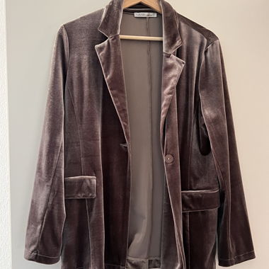 Velvet Blazer