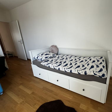 Pull out day bed with mattress in Geneva
