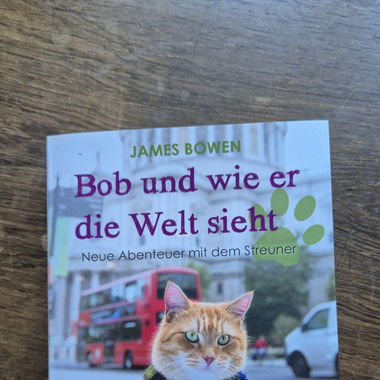 Bob e come vede il mondo - James Bowen
