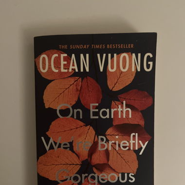 on earth we’re briefly gorgeous 