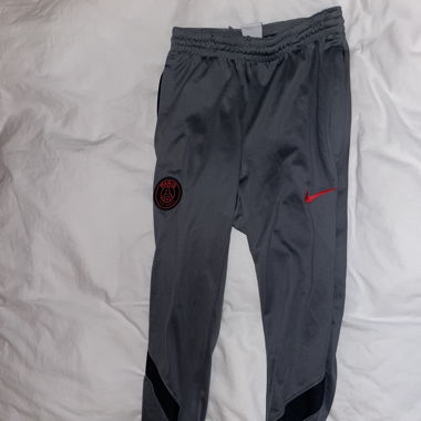 Psg  Trainer 