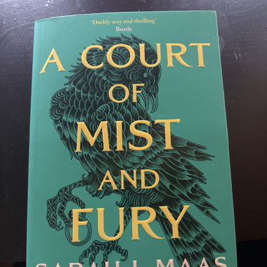 A court of M*st and Fury 