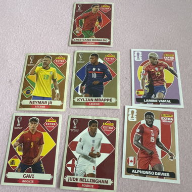 Panini Extra