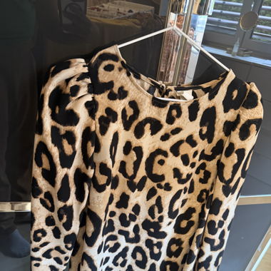 Kleid