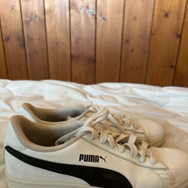 Basket puma